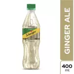 GINGER