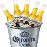 Coronita