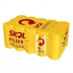 Pack skol c/15un 269ml
