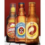 LITRINHO 300ML P/ DELIVERY