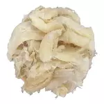 LASCAS DE BACALHAU GADUS  MORHUA