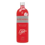 GIN INTECION MELANCIA 900ML