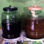 Indanochado y Uvachado