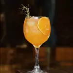 GIN TROPICAL