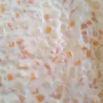 acompanhamento  salada de maionese