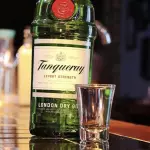 Gin