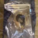 MAGIC MUSHROOMS: 4 STRAINS (8th’s)