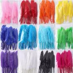 Plumas