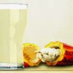 Suco Polpa Manga