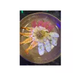Carpaccio dos Mares (NOVIDADE)