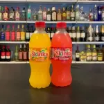 SUCO  SKINKA 500ML