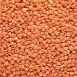 Lentilha rosa