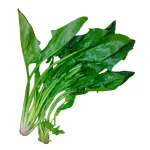 Espinaca Orgánica x 500 g