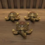 TORTUGA