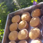 Cup Cakes de Zanahoria 🥕