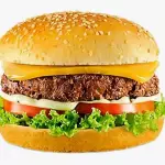 HAMBÚRGUER ESPECIAL COM CHEDDAR🍔🍔