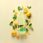 Schweppes Citrus 1,5L