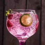 PINK GIN & TONIC
