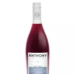 VINO ANTHONY MORA 750ML