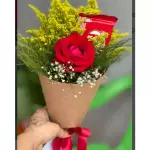 Cone Tereza