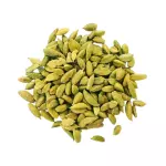 Cardamomo Semente