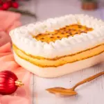 SOBREMESA PET DE MARACUJA