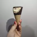 Cone de Ninho