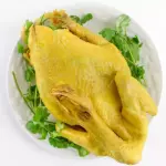 GALLINA SEMICRIOLLA