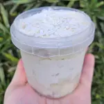 Cacatua sem leite