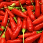 Pimenta malagueta