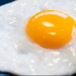 Ovo