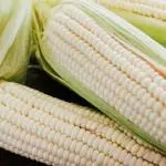 Elotes