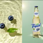 Tropical de arándano vidrio