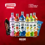 COMBO GIN INVICTUS 900ML