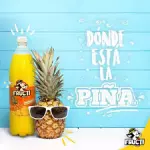 Fructi soda 1.25 lt