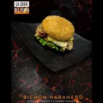 Bichón Habanero