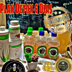 Plan Detox 6 Dias Premium