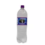 AGUA IGARAPE COM GAS 1,5L
