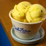 Maracujá com Manga - ZERO LACTOSE
