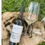 KIT SEPTIMA OBRA MALBEC