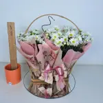 A443 Margarida "Boas Energias"
