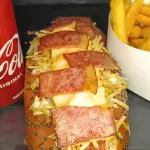 Perro de la casa