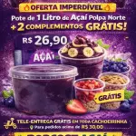 Pote 1 litro puro polpa norte