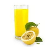 Suco Maracujá (polpa) 300ml