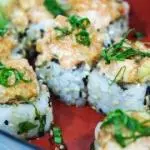 Uramaki Barkô Especial