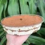 Tiramisù Travessa M