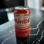 Sidral mundet