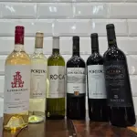 Vinhos Argentinos