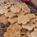 QUEIJO E CEBOLA