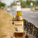 Pacifico Suave